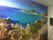 General Formulations GraphiTex with a tropical scene printed on it and installed on a wall