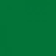 Evergreen Translucent Colour Swatch