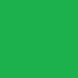 Light Green Transparent Vinyl Colour Swatch